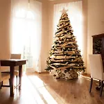 Otel Sylva &