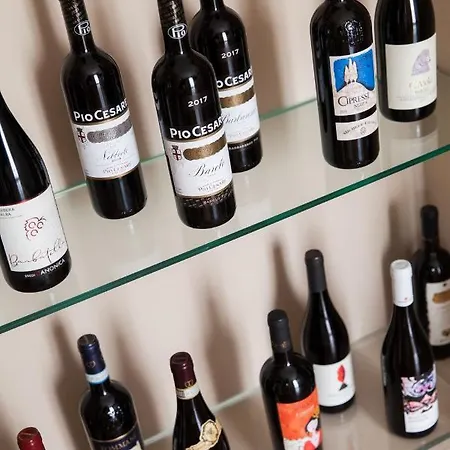 西尔瓦别墅spa酒店 酒店 3*