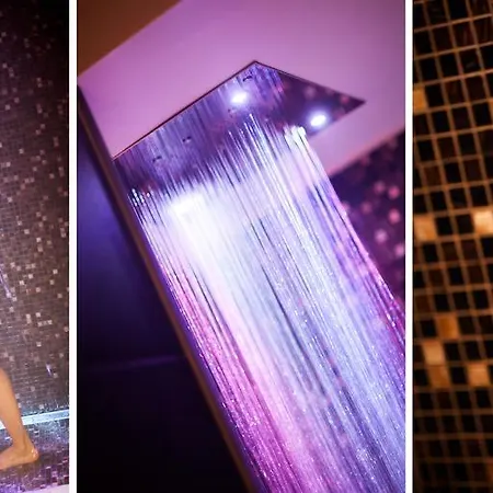 西尔瓦别墅spa酒店 酒店 3*