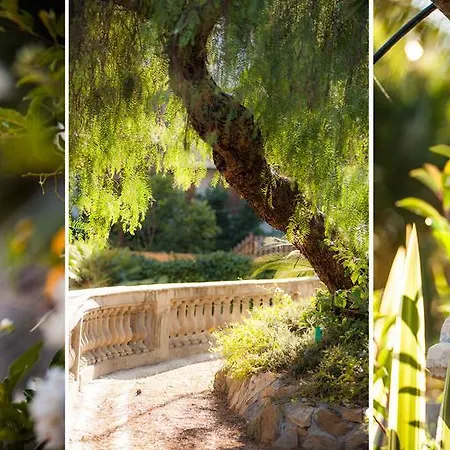 Hotel Sylva & San Remo