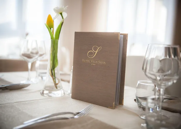 西尔瓦别墅spa酒店 圣雷默