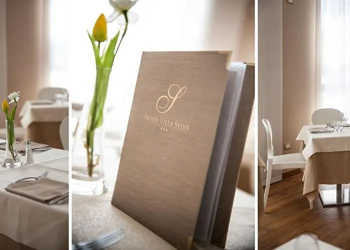 酒店 西尔瓦别墅spa酒店